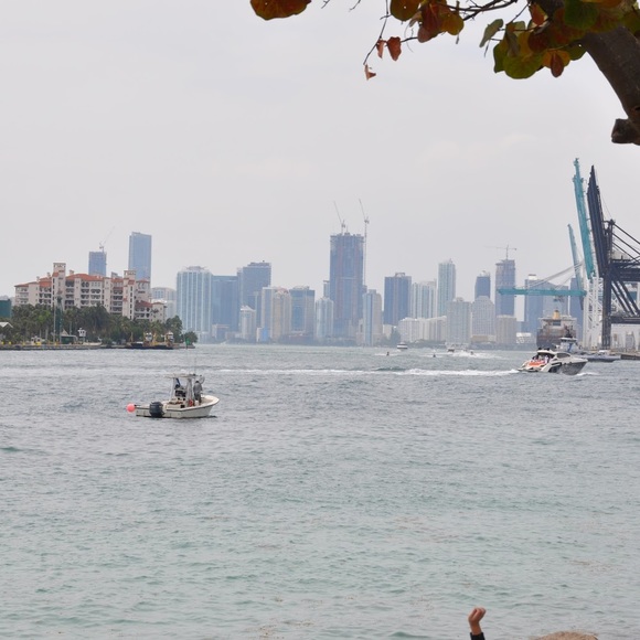 Meet your Posher, Elizabeth - Picture 1 of 1